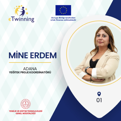 Mine Erdem