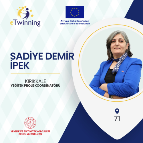 Sadiye Demir İpek